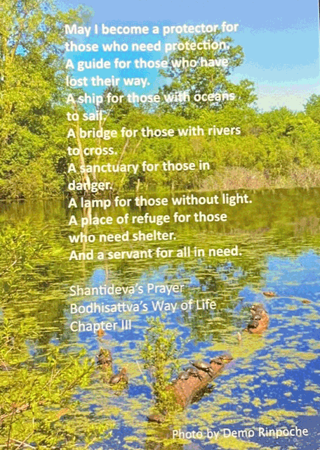 SHANTIDEVA'S CODE MAGNET