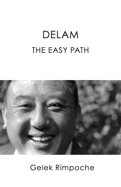 Delam The Easy Path Spiral Bound