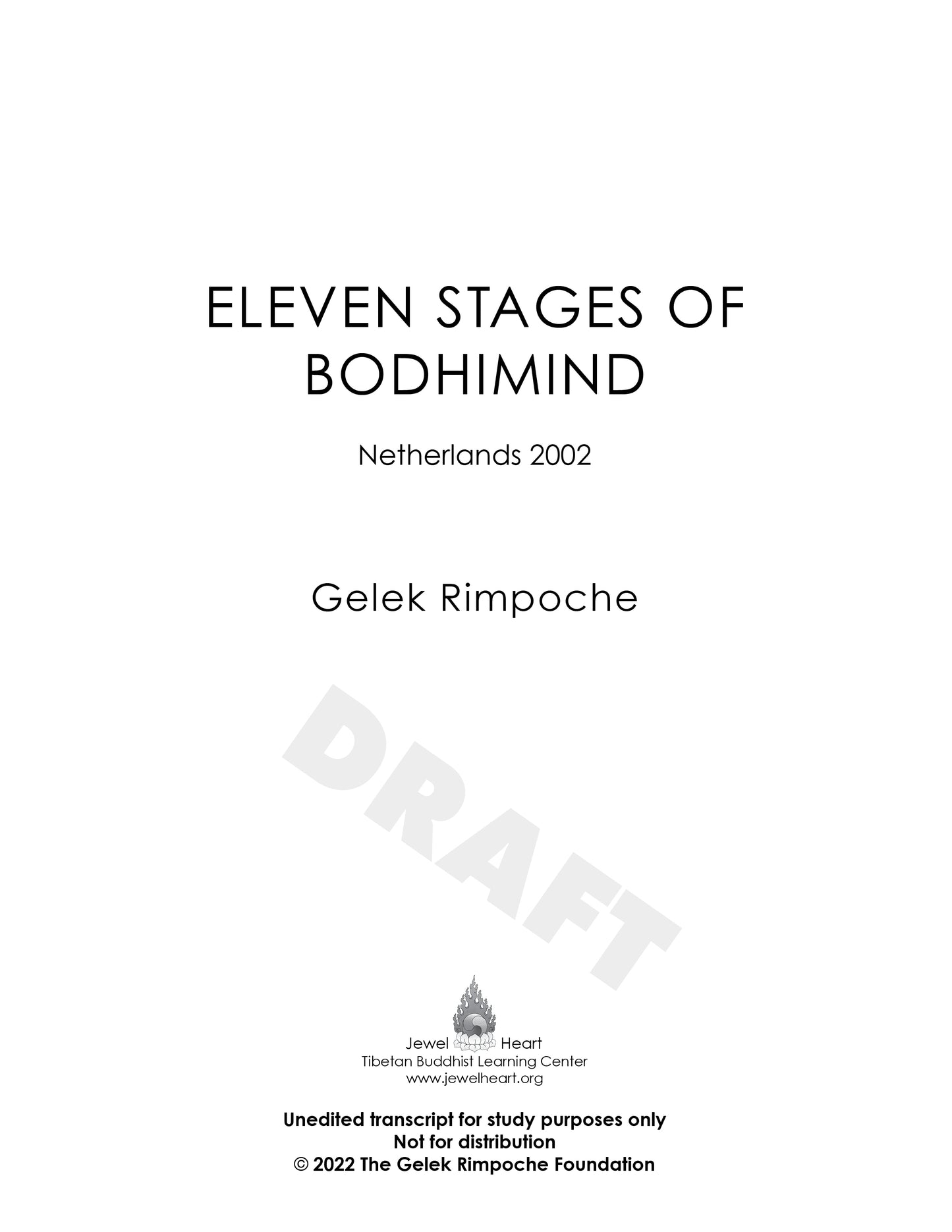 Eleven Stages of Bodhimind: Netherlands 2002