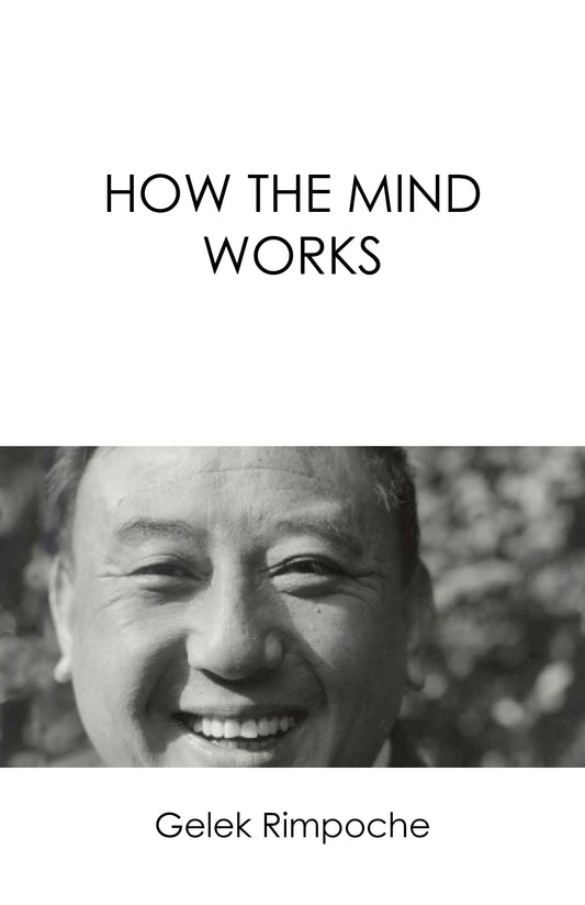 How The Mind Works