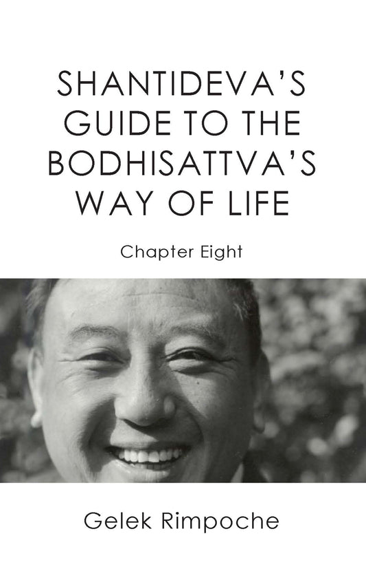 Shantideva's Guide to The Boddhisattava's Way of Life Chapter 8