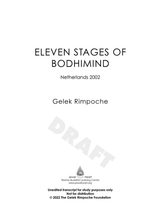 Eleven Stages of Bodhimind: Netherlands 2002