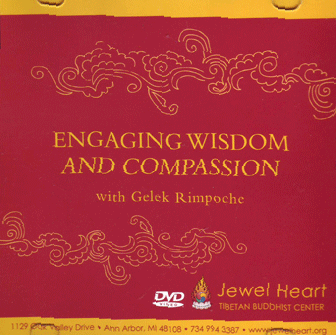 ENGAGING WISDOM AND COMPASSION DVD