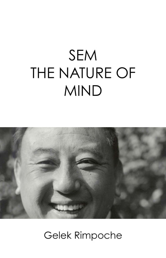 SEM -The Nature of Mind
